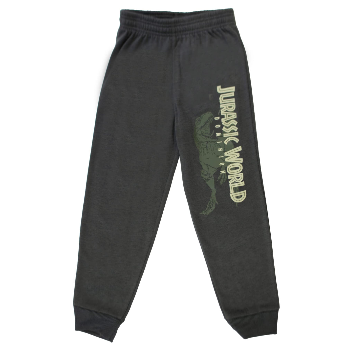 Jurassic World Dominion Boys 2 Piece Fleece Pants Sets, Hoodie and Pants Set Bundle for Boys