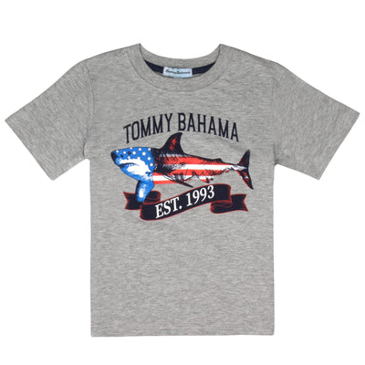 Tommy Bahama Boys 2-Piece Kids Clothing Set - Short Sleeve T-shirt & Shorts 2-Pack Bundle Set for Kids and Toddlers