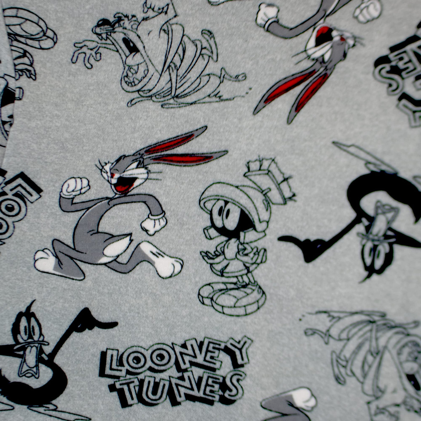 SPACE JAM 2: A New Legacy Looney Tunes Boys Pants Sets, Looney Tunes Hoodie and Pants Bundle Set for Boys