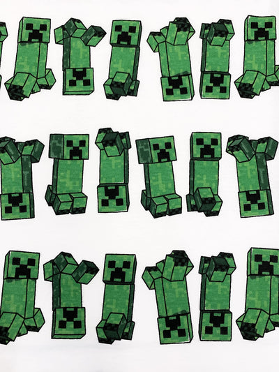 Minecraft Boys Short Sleeve Regular Fit